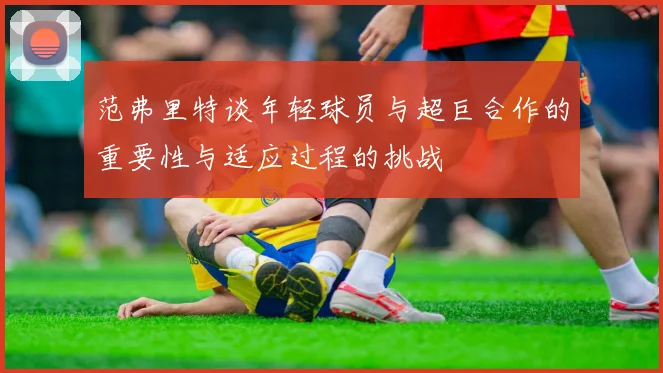 范弗里特谈年轻球员与超巨合作的重要性与适应过程的挑战