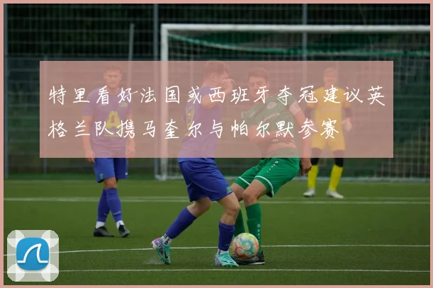 特里看好法国或西班牙夺冠建议英格兰队携马奎尔与帕尔默参赛