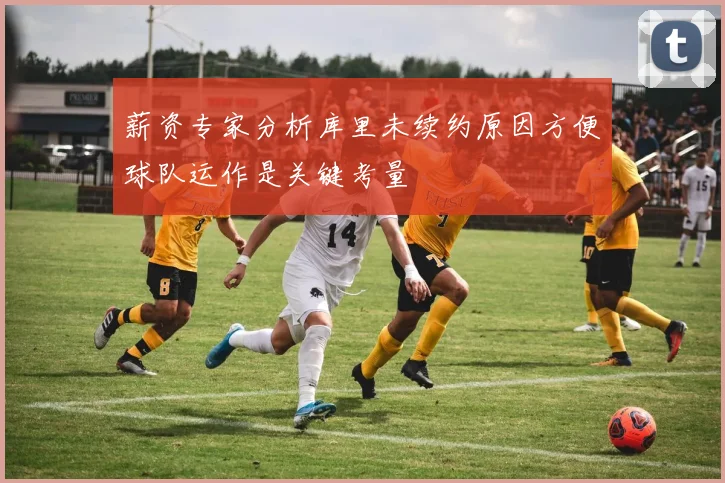 薪资专家分析库里未续约原因方便球队运作是关键考量